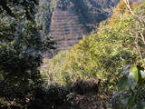 備後 志川滝山城の写真
