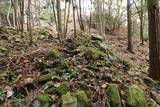 備後 茶臼城(三和町)の写真