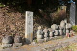 備後 真浄庵土居屋敷の写真