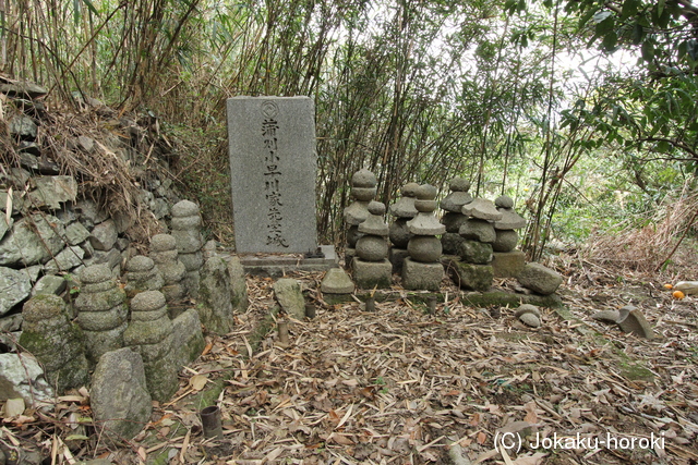 備後 城見屋敷の写真