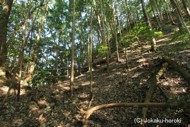 備後 八幡山城(三次市)の写真