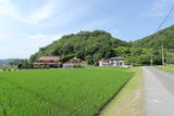 備後 八幡山城(三次市)の写真