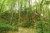 陶八幡城写真