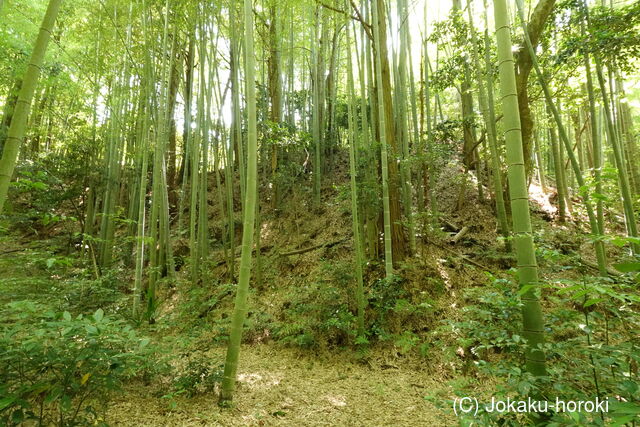 備後 陶八幡城の写真