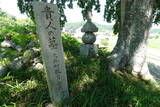 備後 陶八幡城の写真