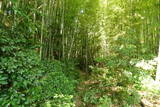 備後 陶八幡城の写真