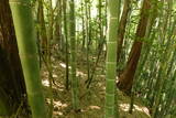 備後 陶八幡城の写真