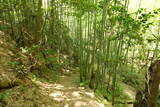備後 陶八幡城の写真
