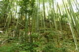 備後 陶八幡城の写真