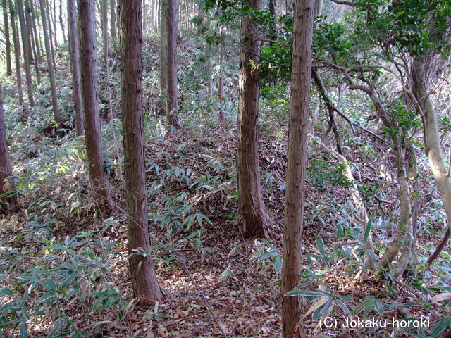 備後 菅土居城の写真