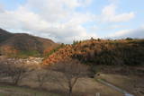 備後 田能城の写真