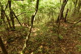 備後 寺町古城の写真
