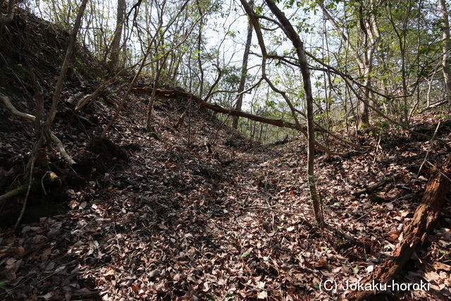 備後 鳶巣山城の写真