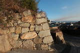 備後 鞆城の写真