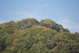 備後 津田明神山城の写真