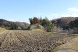 丸山城(御調町津蟹)写真