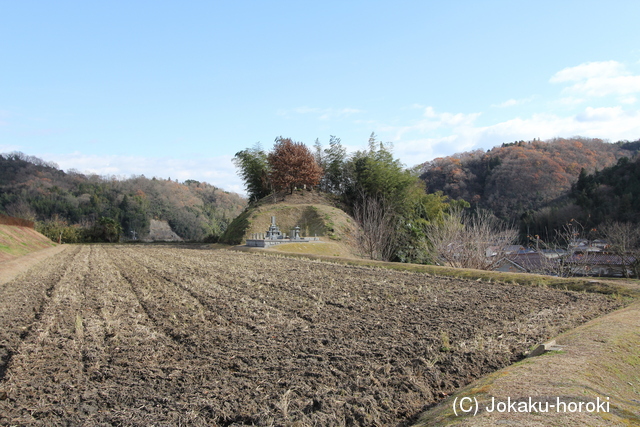 備後 丸山城(御調町津蟹)の写真