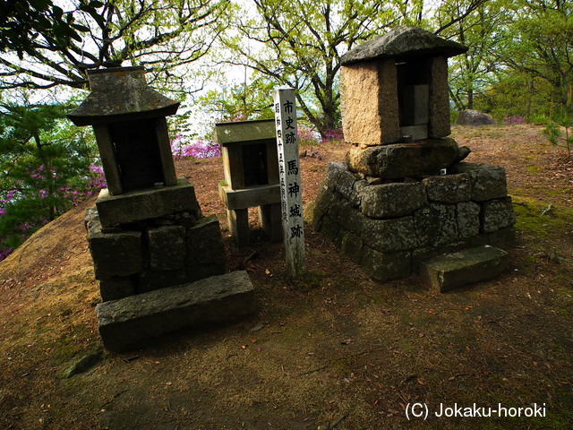 備後 馬神城の写真