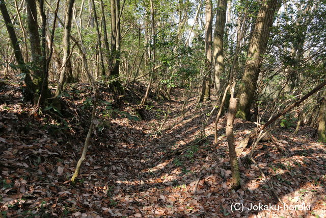 備後 南山城(和知町)の写真