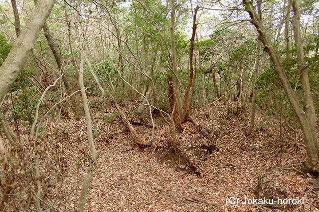 備後 茶臼山城(八幡町)の写真