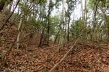 備後 茶臼山城(八幡町)の写真