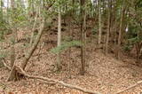 備後 茶臼山城(八幡町)の写真