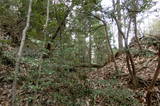 備後 茶臼山城(八幡町)の写真