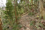 備後 茶臼山城(八幡町)の写真