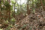 備後 茶臼山城(八幡町)の写真