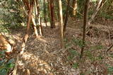 備後 茶臼山城(八幡町)の写真