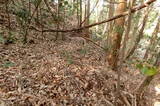 備後 茶臼山城(八幡町)の写真