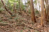 備後 茶臼山城(八幡町)の写真