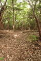 備後 山内城の写真
