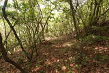 備後 山内城の写真
