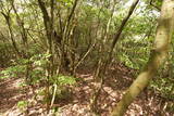 備後 山内城の写真