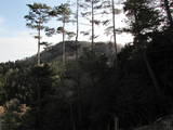 備後 高鉢山城の写真