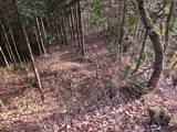 備後 高鉢山城の写真