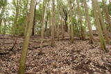 備後 高鉢山城の写真