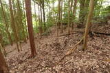 備後 高鉢山城の写真