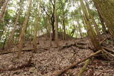 備後 高鉢山城の写真