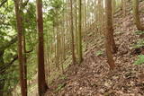 備後 高鉢山城の写真