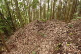 備後 高鉢山城の写真