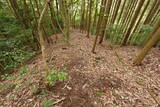 備後 高鉢山城の写真
