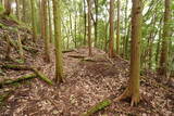 備後 高鉢山城の写真