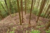 備後 高鉢山城の写真