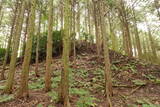 備後 高鉢山城の写真