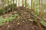 備後 高鉢山城の写真