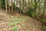 備後 高鉢山城の写真