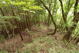 備後 高鉢山城の写真