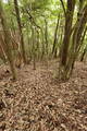 備後 高鉢山城の写真